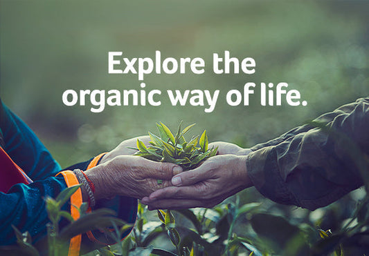 Kickstart Your Healthy Lifestyle