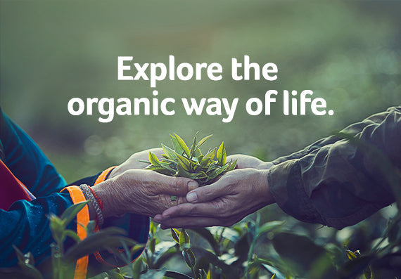Kickstart Your Healthy Lifestyle