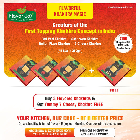 Flavored Khakhra’s Delight Pack